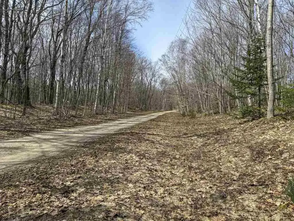 Lot 417 Wild Woods Court, Beaver Island