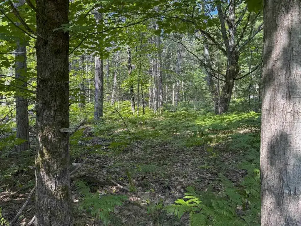 Tbd East Side Drive, Lot 64, Beaver Island