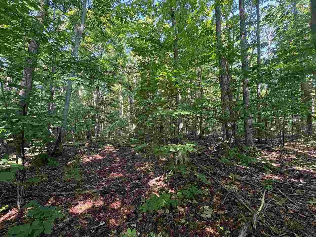 3443 Needles Drive, Harbor Springs