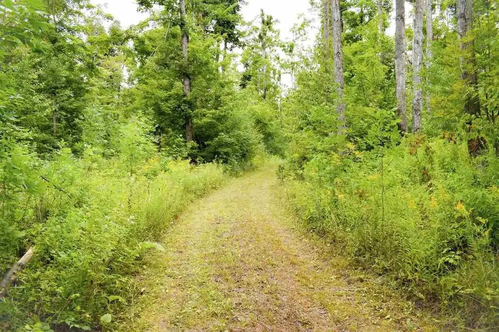 Tbd Kuzmik Road, Elmira