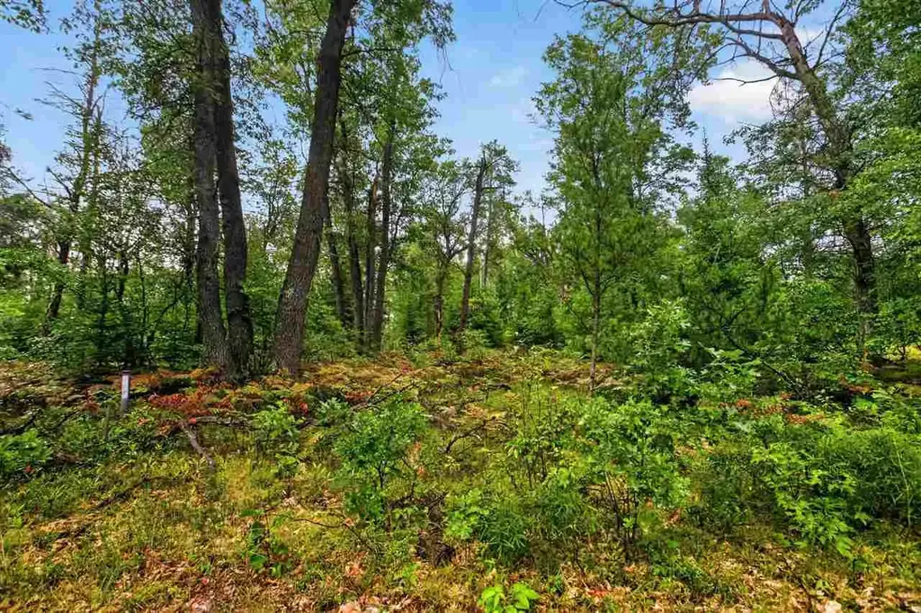 00 Valley Vista Lot 12 Drive, Mio