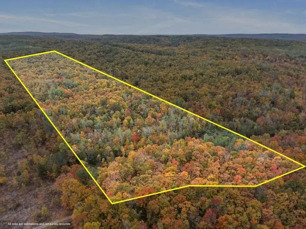 2537 Middle Village Drive, Harbor Springs