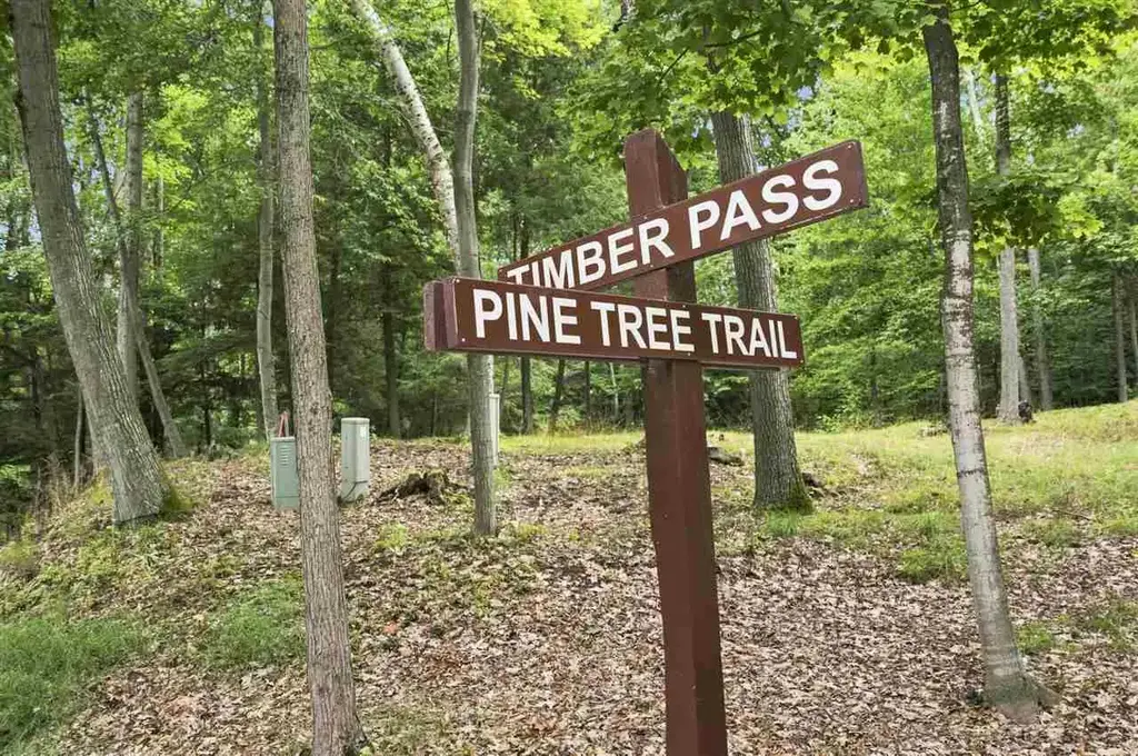 1222 Timber Pass Lot 16, Harbor Springs