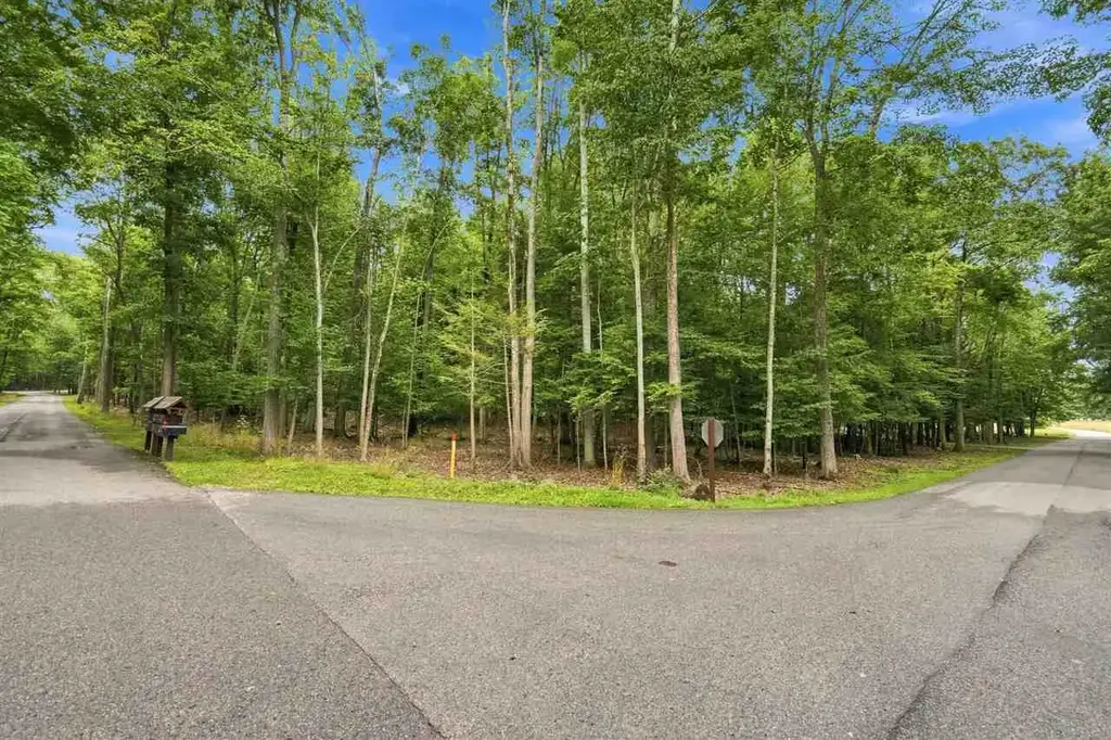 1358 Timber Pass, Harbor Springs