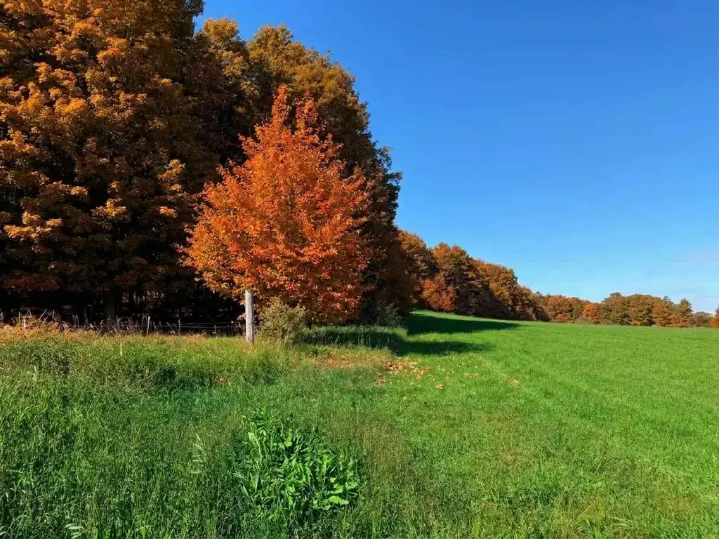 Tbd M-32 Highway Parcel C, East Jordan