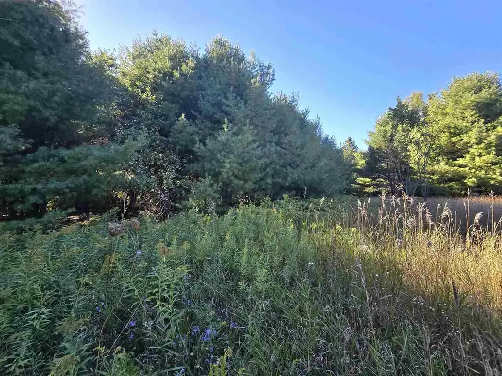 10534 Sunset Drive, Carp Lake