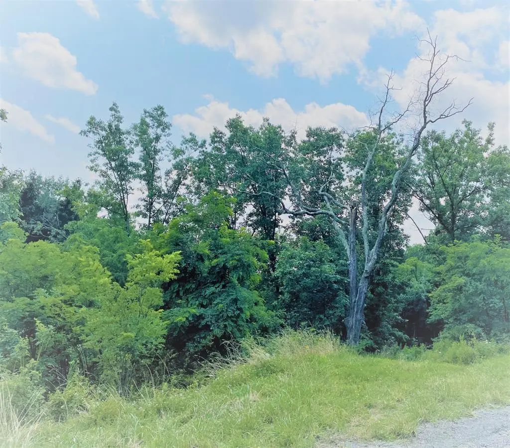 Lot 2a Hemlock Hills Rd, Towanda