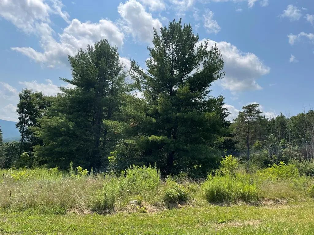 Lot 6a Hemlock Hills Rd, Towanda