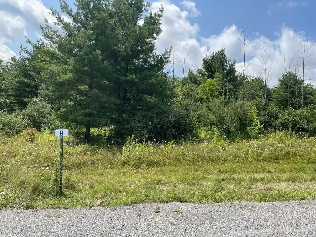 Lot 9a Hemlock Hills Rd, Towanda