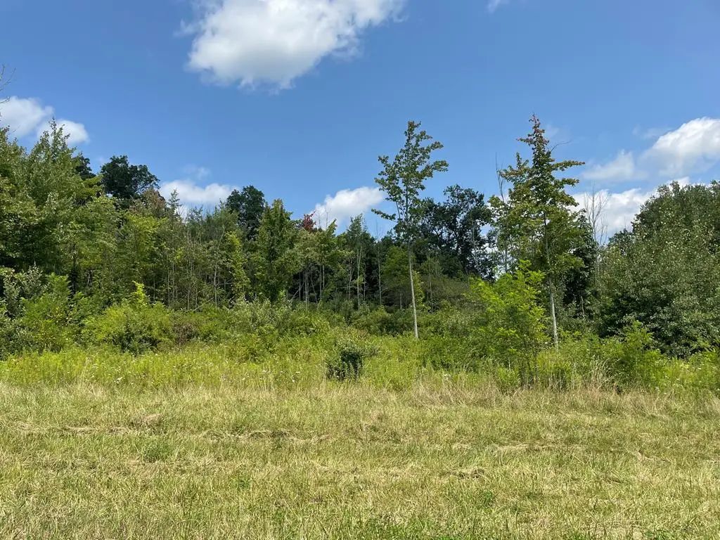 Lot 11a Hemlock Hills Rd, Towanda