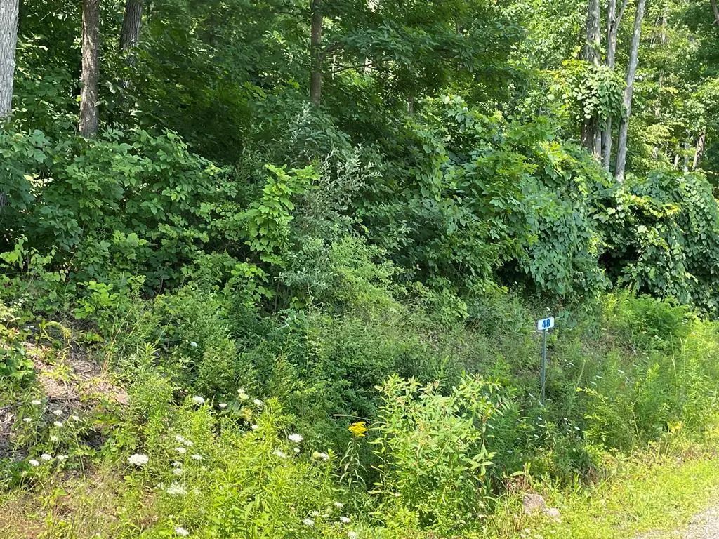 Lot 48a Hemlock Hills Rd, Towanda