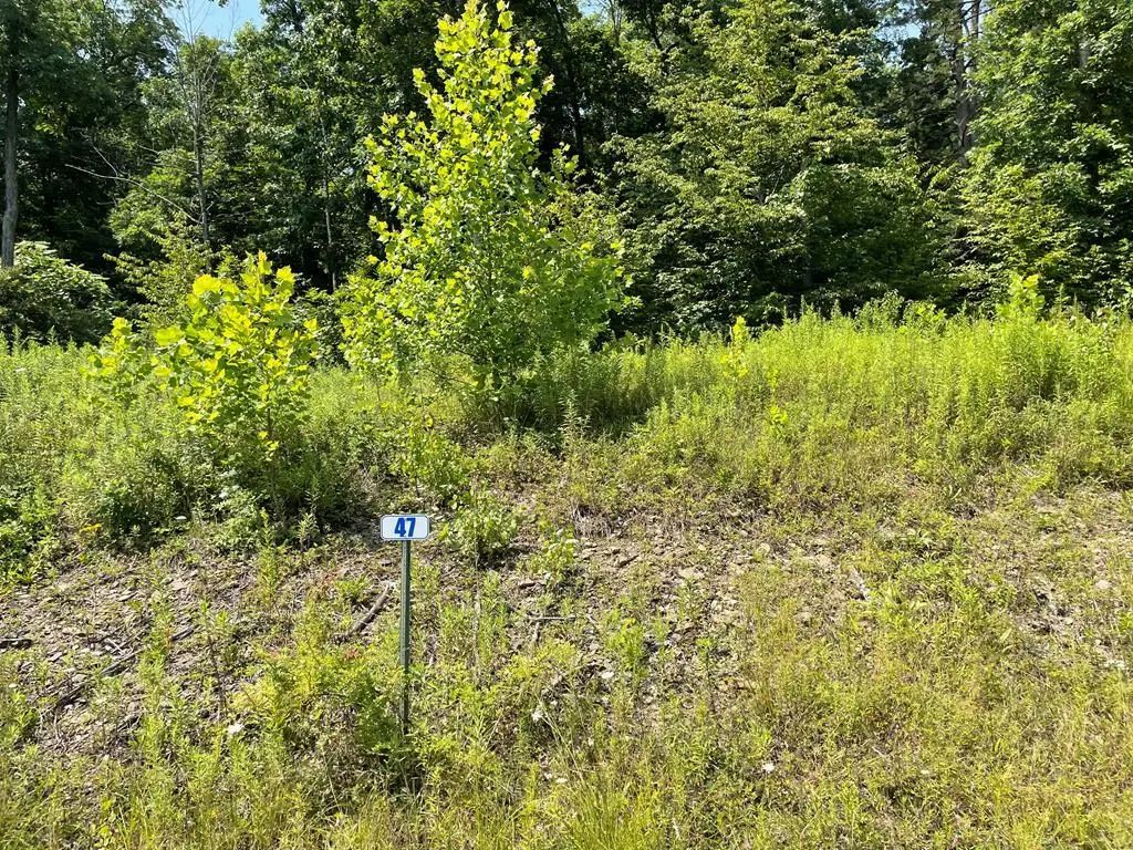 Lot 47a Hemlock Hills Rd, Towanda
