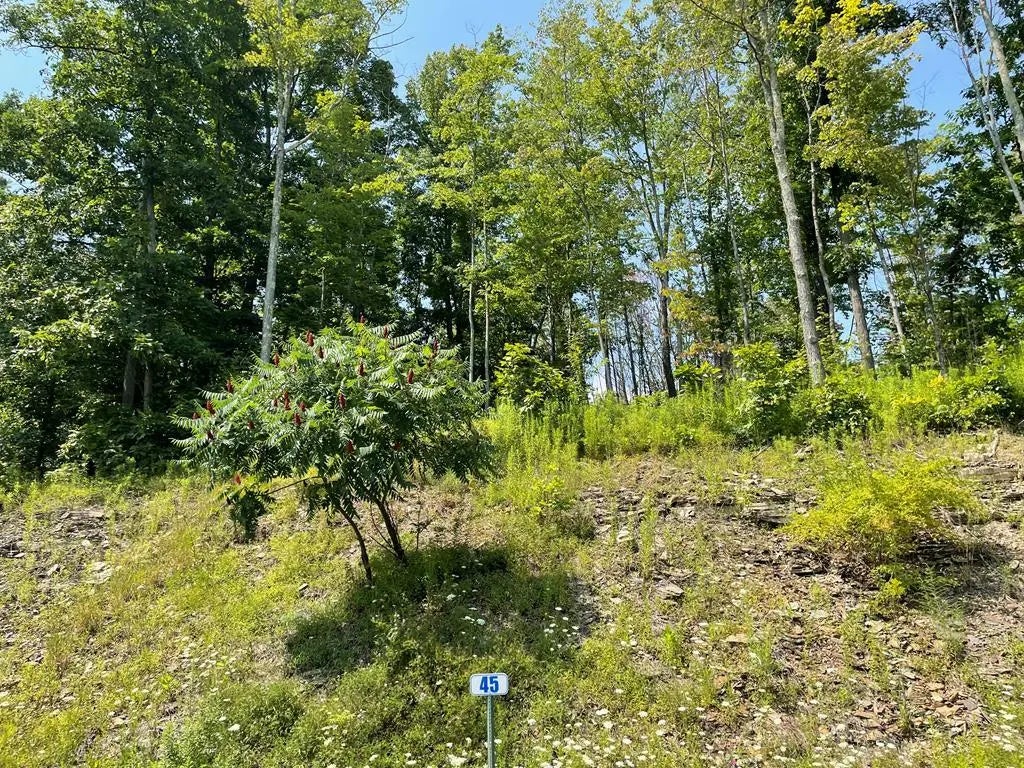Lot 45a Hemlock Hills Rd, Towanda