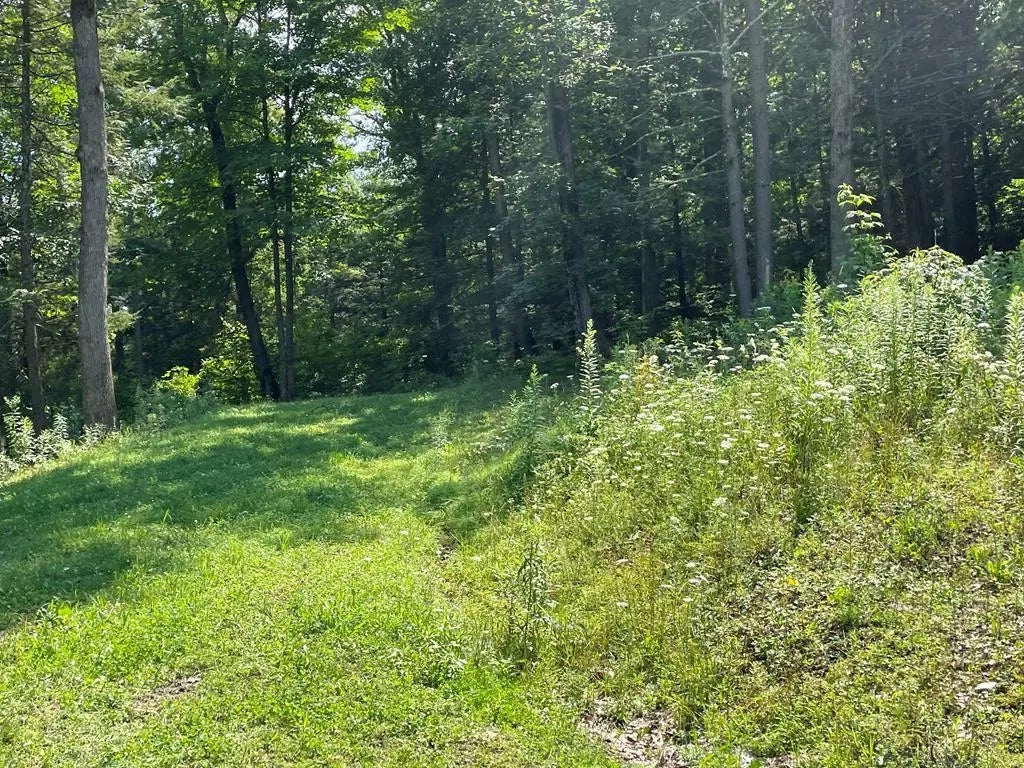 Lot 43a Hemlock Hills Rd, Towanda