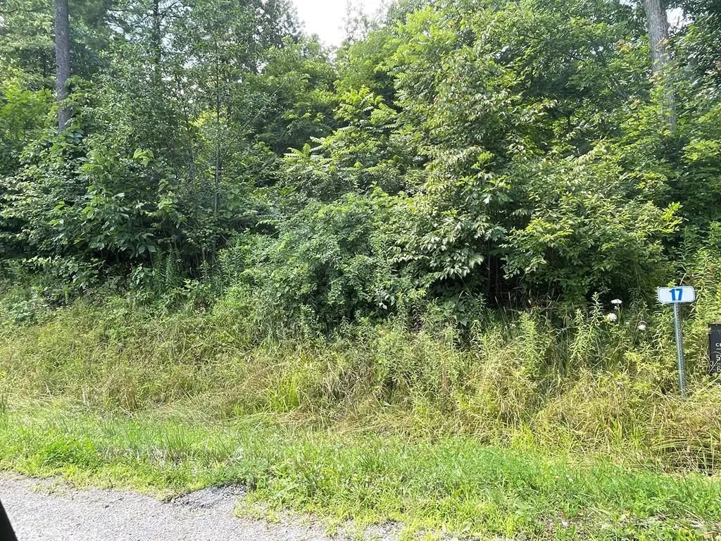 Lot 18a Hemlock Hills Rd, Towanda