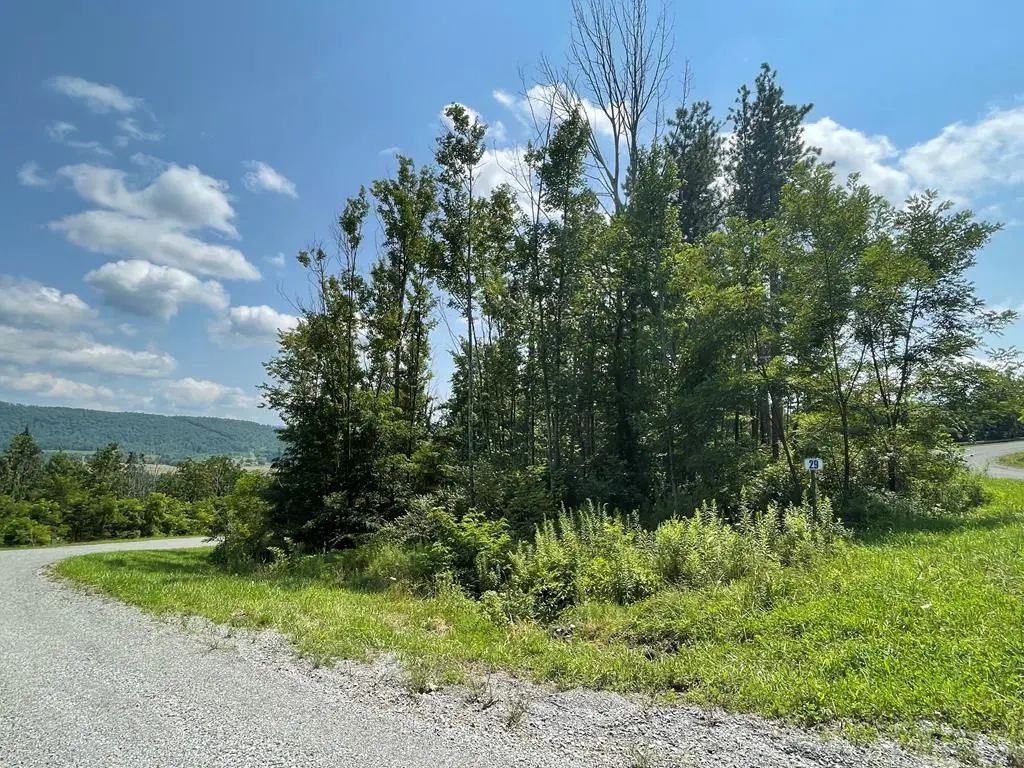Lot 29a Hemlock Hills Rd, Towanda