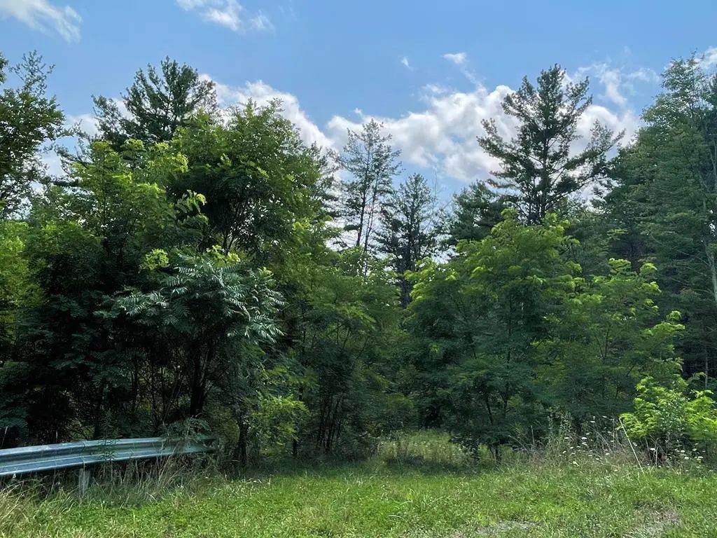 Lot 31a Hemlock Hills Rd, Towanda