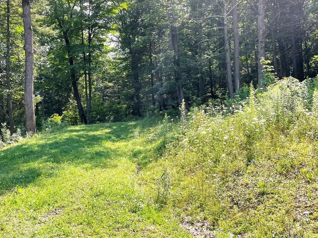 Lot 35a Hemlock Hills Rd, Towanda