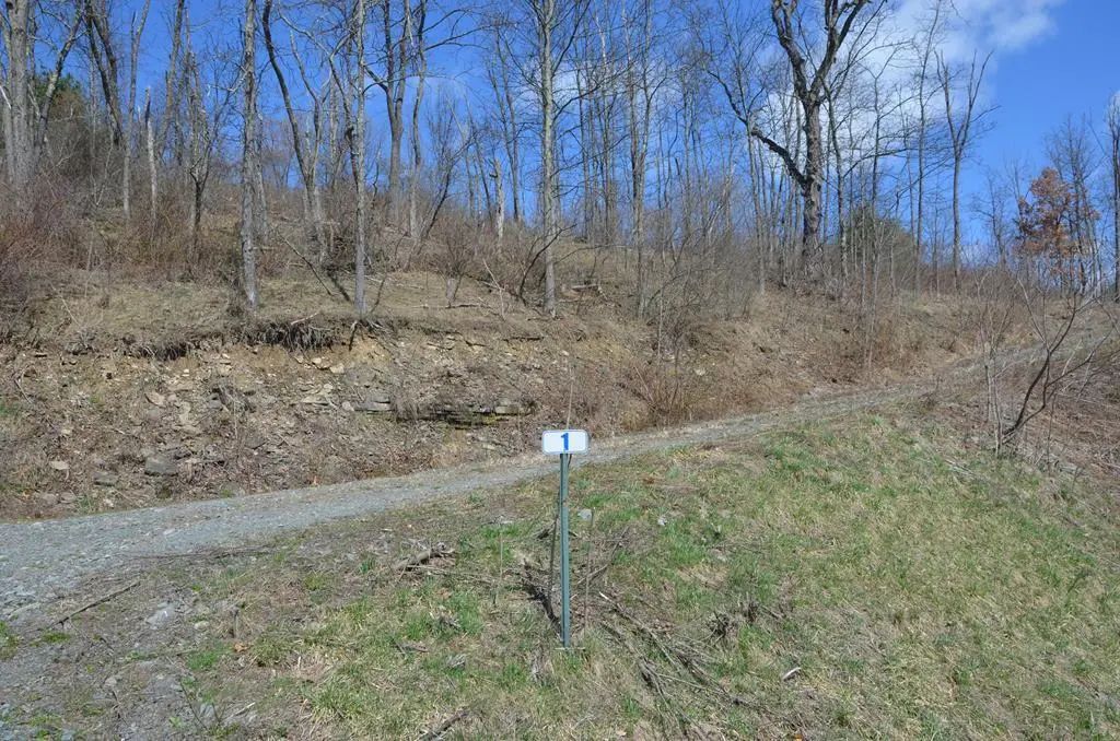 Lot 1a Hemlock Hills Rd, Towanda