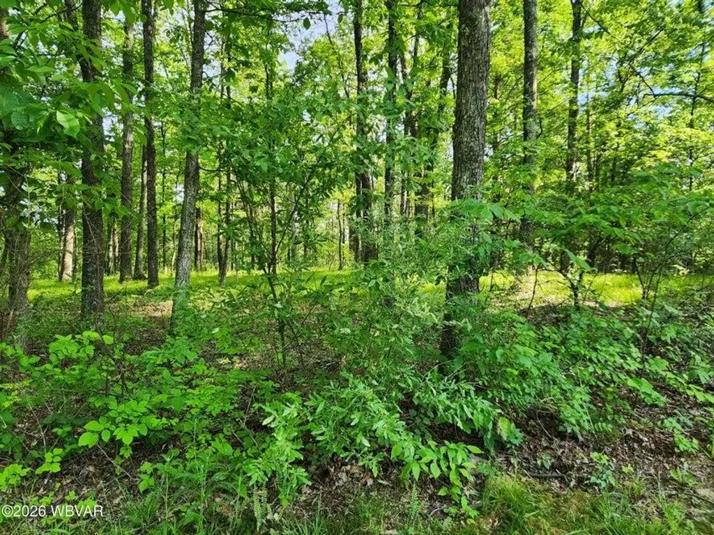 279 Oak Lane Lot 79, Muncy Valley
