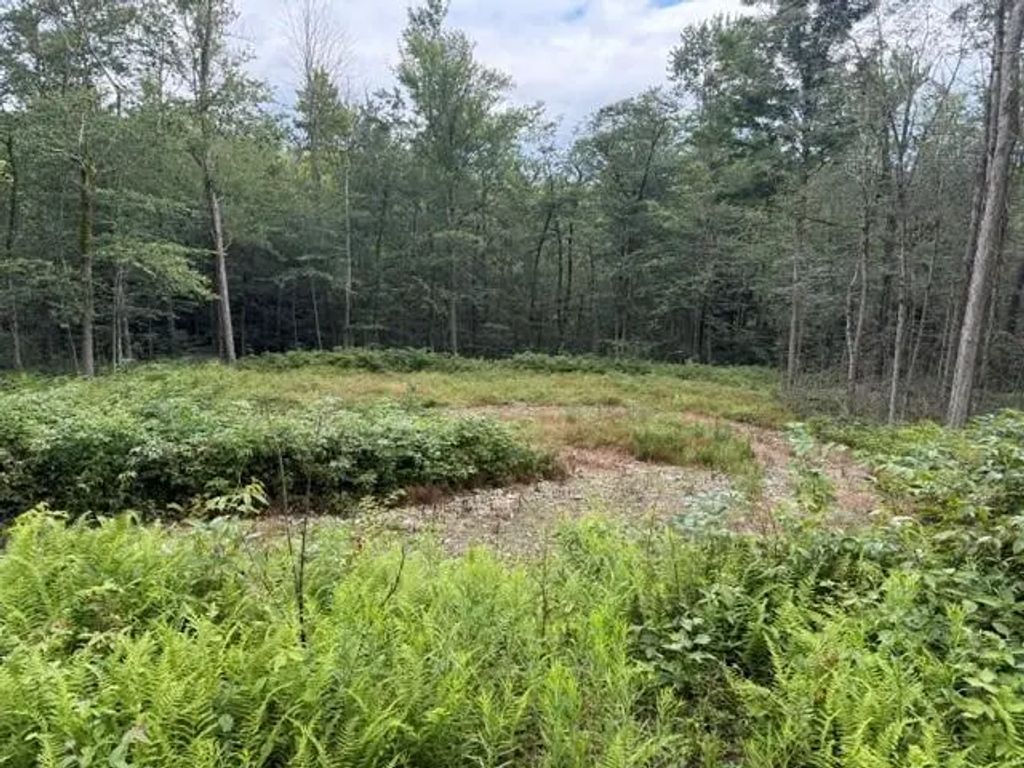 41 Melglen Lane, Coudersport