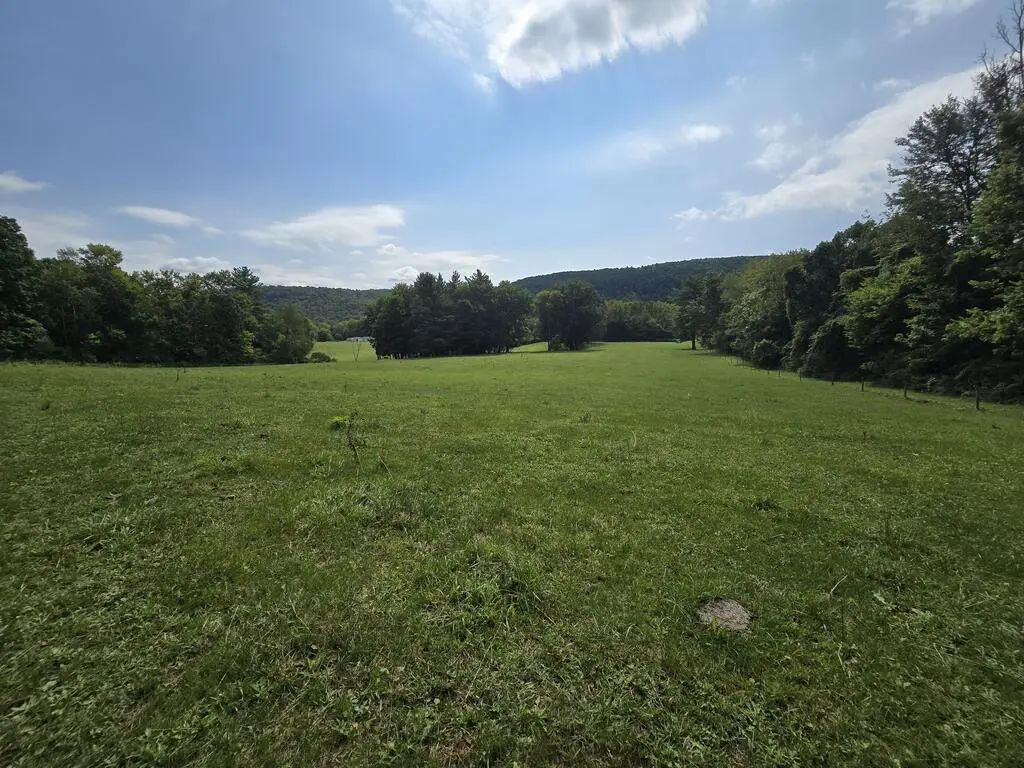 Wildwood Rd, Sayre