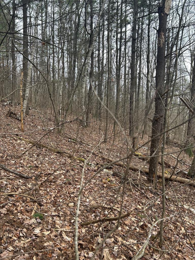 Birch Hill Road, Lawrenceville