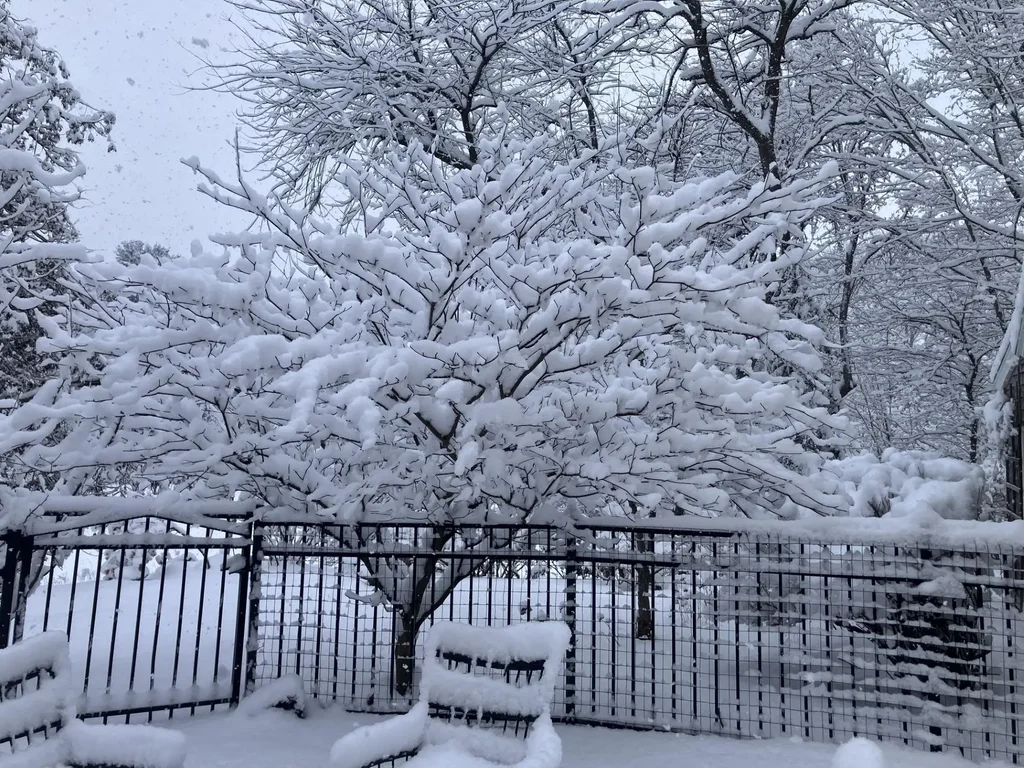 85 College Road, Stratham