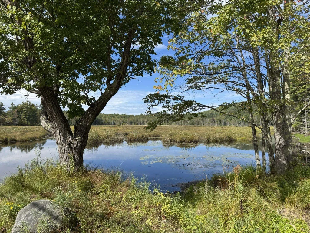 181 Francestown Road, Greenfield