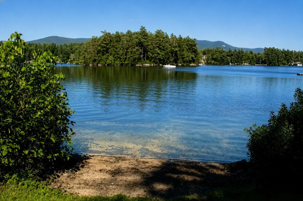 81 Buzzell Cove Road, Moultonborough