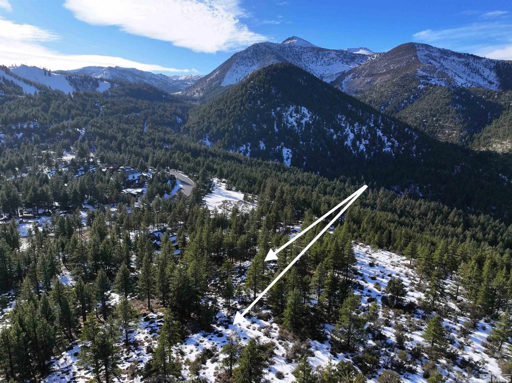 123 Mountain Haven Lane, Reno