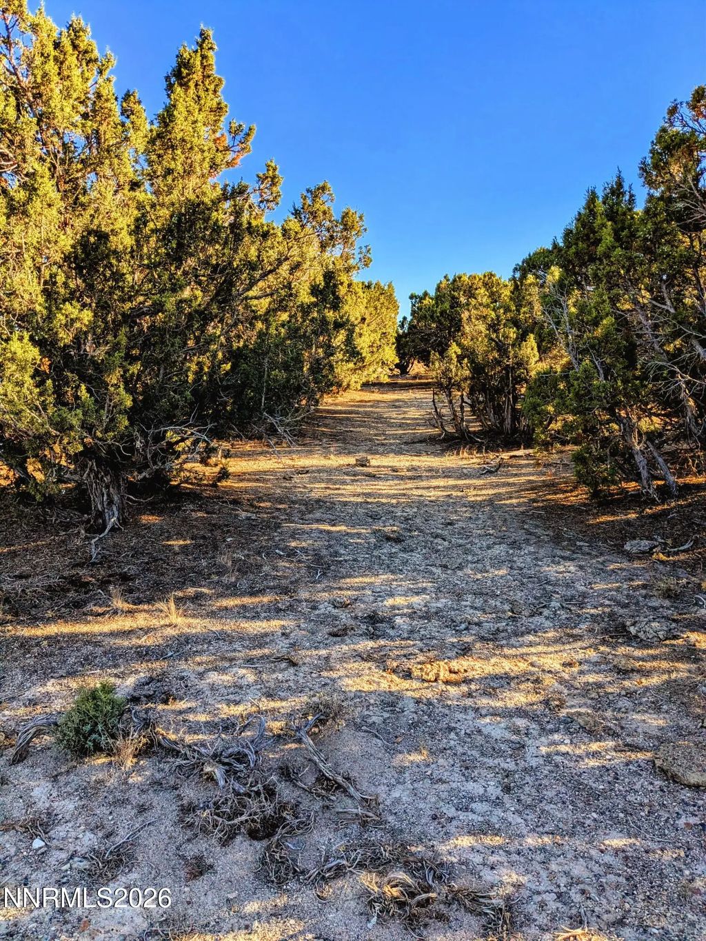 Twelvemile Cyn Road, Montello