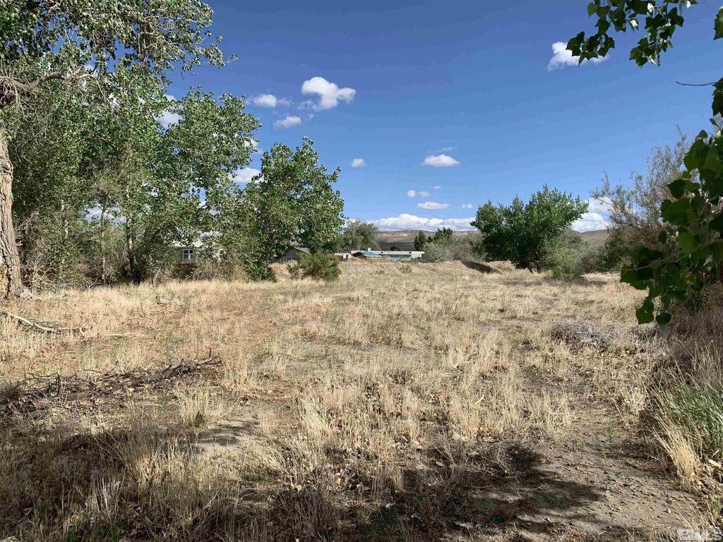 698 Jenny's Lane, Fernley