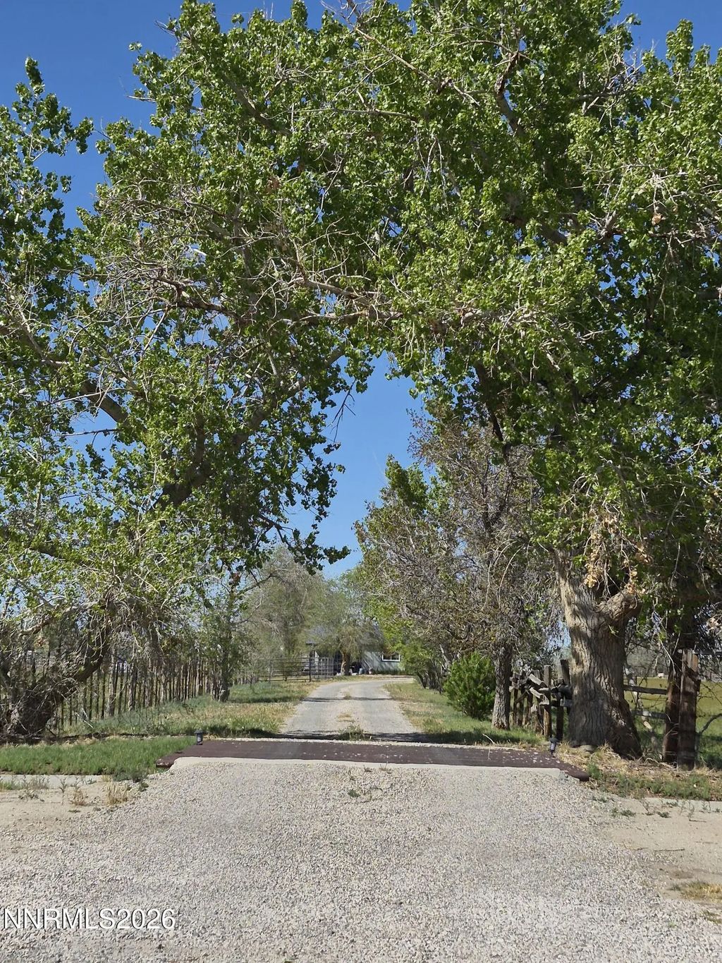 3280 Lone Tree Road, Fallon