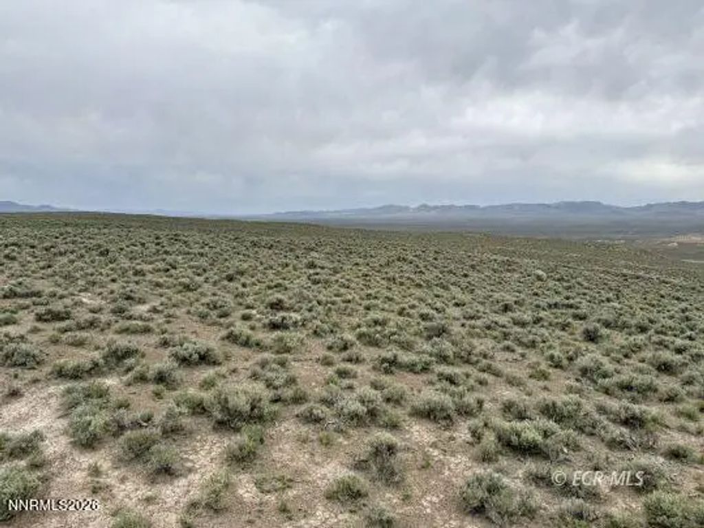 6.6 Pine Street, Elko