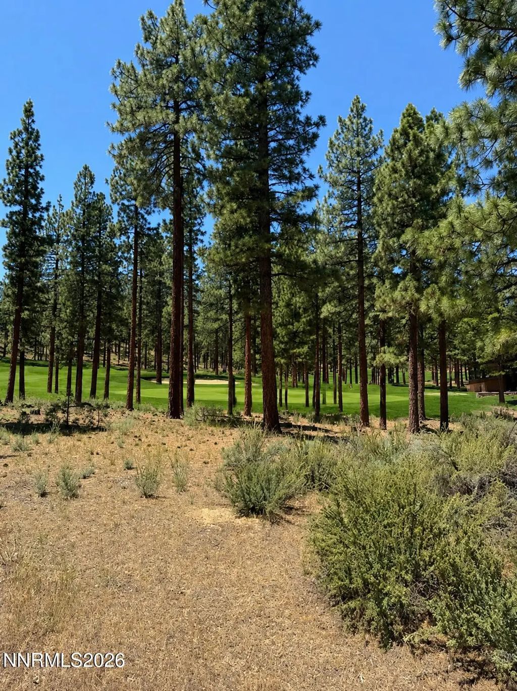 195 Walton Toll Road 210, Carson City