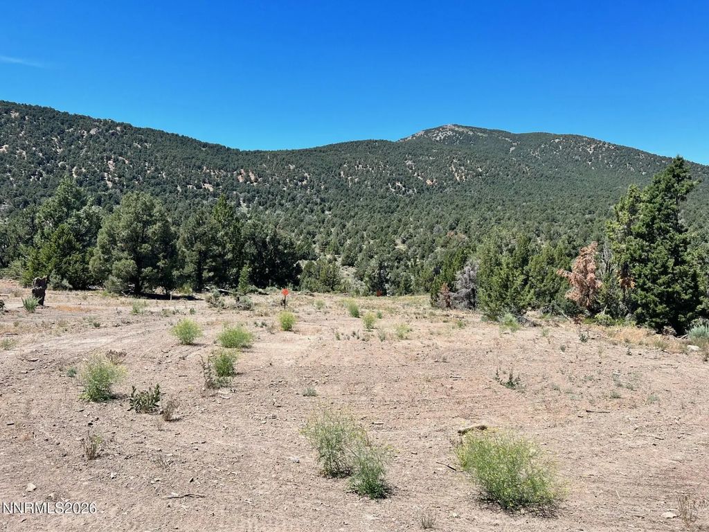 Tbd P14 76, Minden