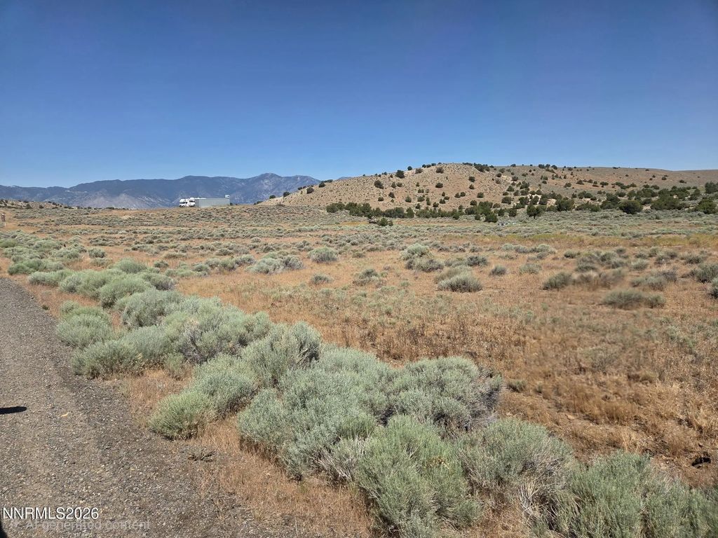 Juniper Road, Fish Springs