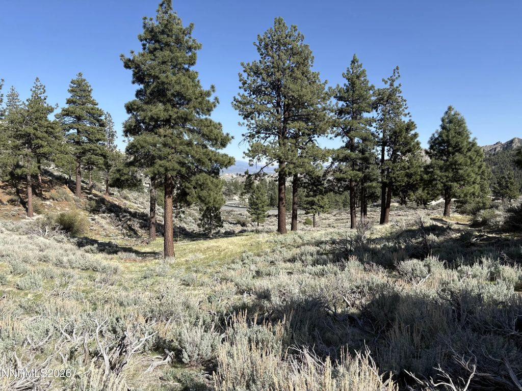 5000 W Highway 50, Carson City
