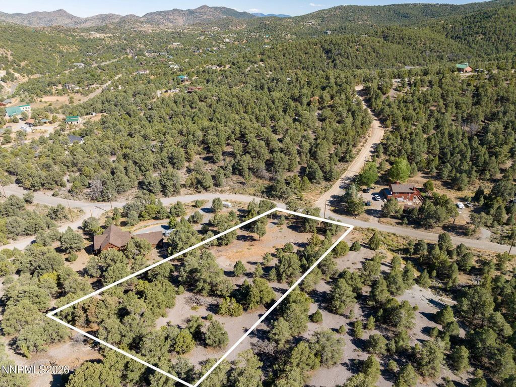 21630 Sazarac Road, Reno