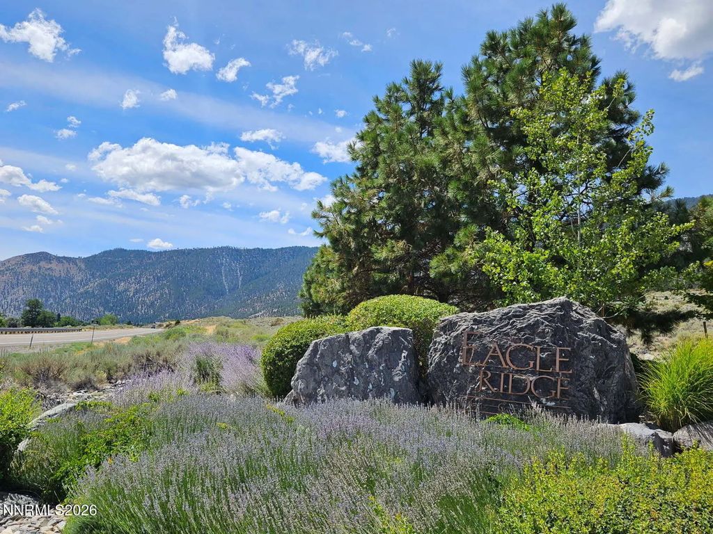 301 Adams Ranch Road 38, Genoa