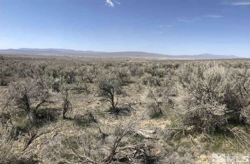 12455 Beaumont Trail, Lovelock