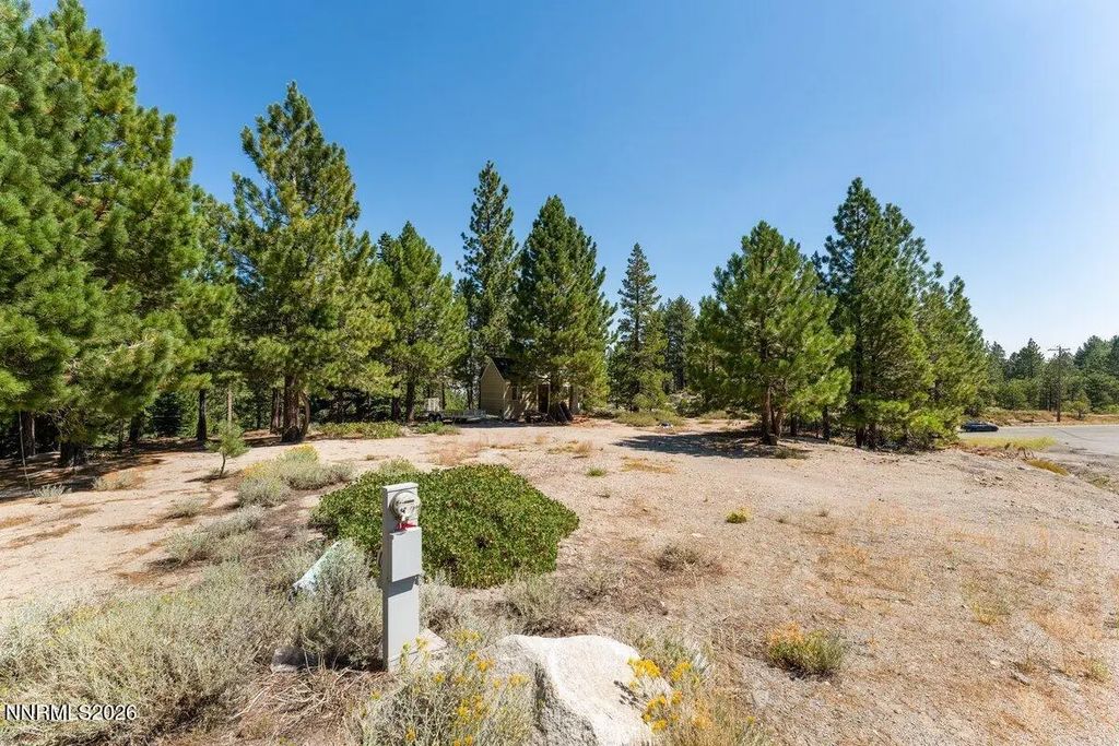 1025 Sky Tavern Road, Reno