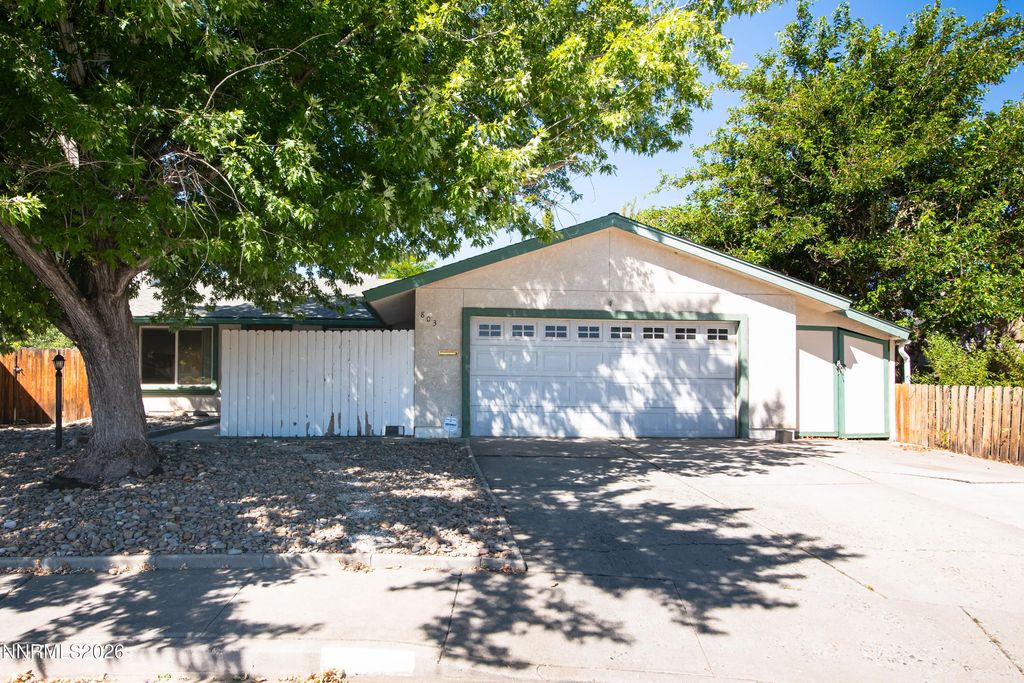 803 Rolando Way, Carson City