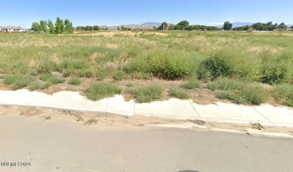 433 Crooked Stick Drive, Yerington