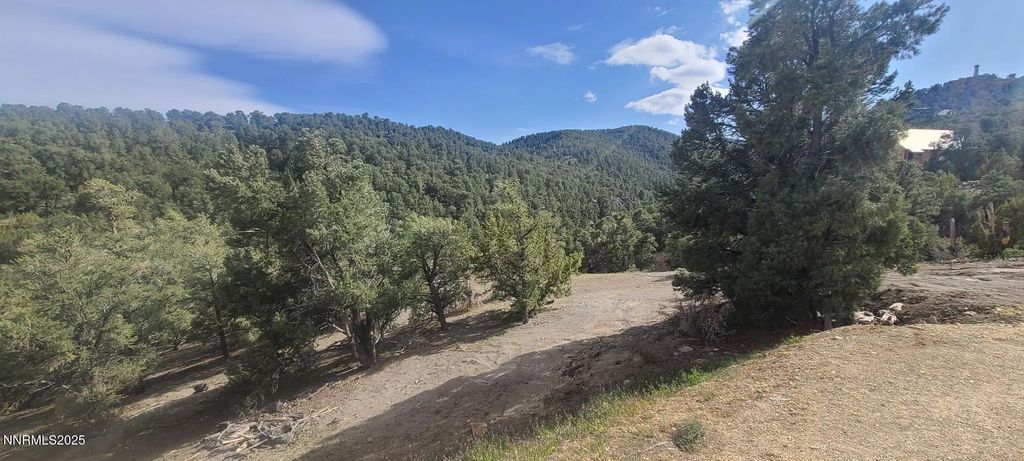 21685 Palamino Road, Virginia City