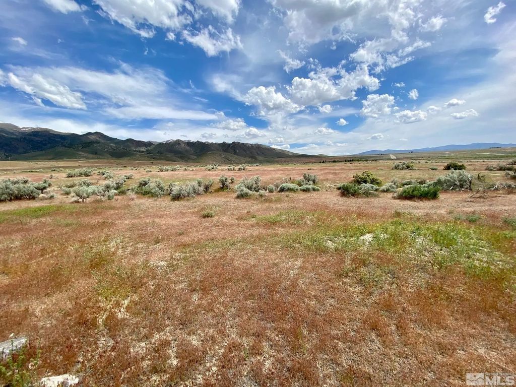 11160 Thor Court, Lovelock