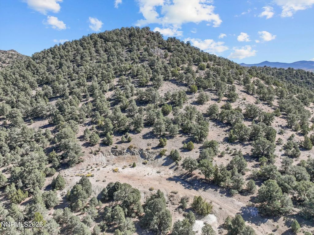 2180 Castle Peak Road, Reno