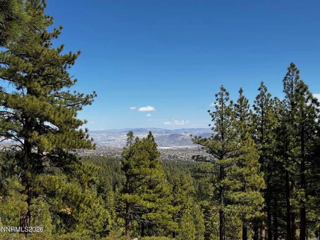 237 E Jeffrey Pine Road, Reno