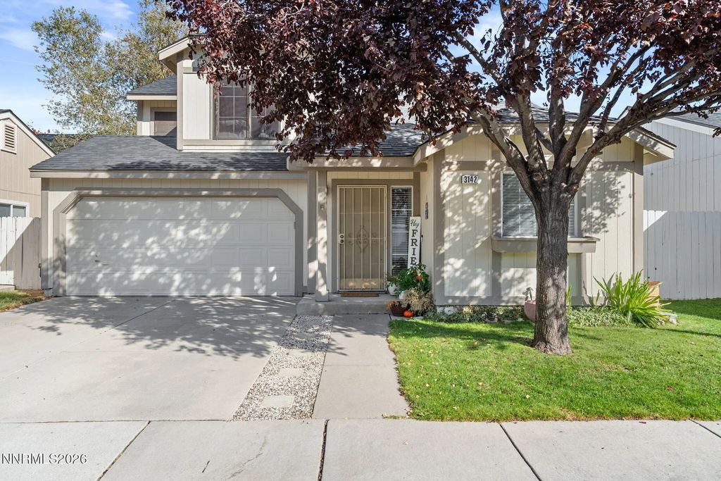 3142 Winter Rose Circle, Reno